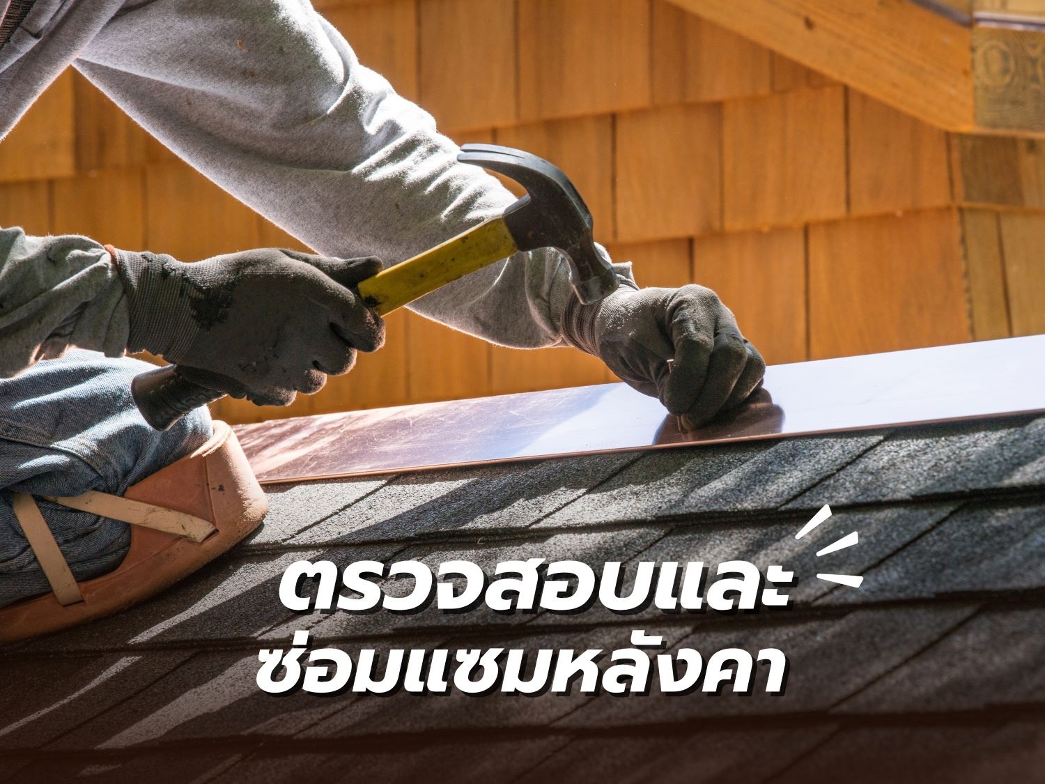 สัตว์ร้าย หน้าฝน7.jpg